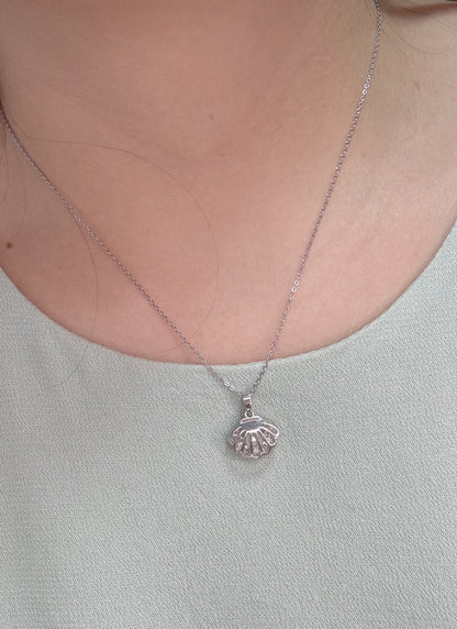 Collar Concha